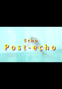 『Echo, Post-echo』